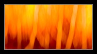 Abstract Photos For Sale 13