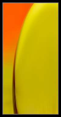 Abstract Photos For Sale 28