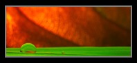 Abstract Photos For Sale Online 37