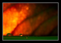 Abstract Photos For Sale 38