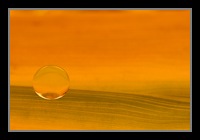 Abstract Photos For Sale 39