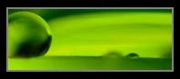 Abstract Photos For Sale Online 42