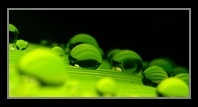 Abstract Photos For Sale Online 43